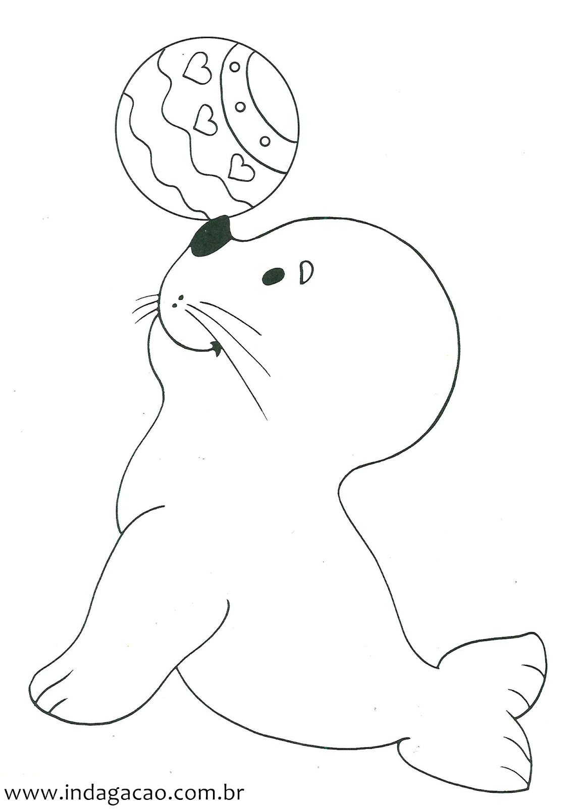 Desenho foca brincando com bola para colorir INDAGAÇÃO