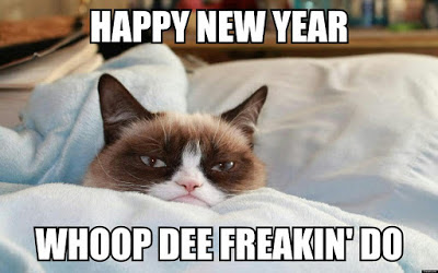 Image result for cats for 2017 new year