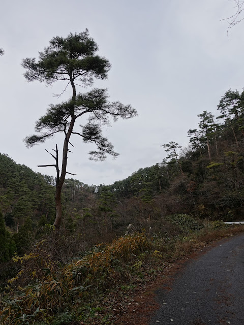 赤松池の脇道を登ります