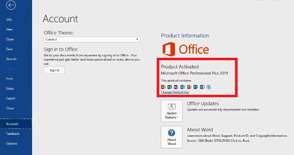 Microsoft Office 2019 Professional Plus v2007 Build 13029.20308 latest full version