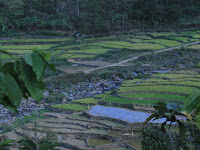 Menyusuri Panorama Indah Desa Wisata Tempur Jepara