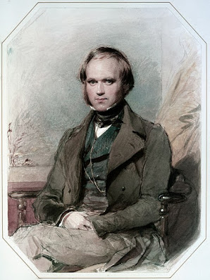 Darwin con 31 años. Acuarela de George Richmond. Charles Darwin: Un cambio de abuelos.  https://pinceladasdelpasado.blogspot.com