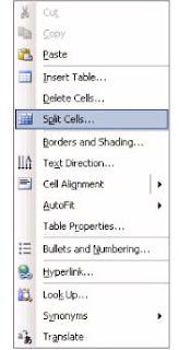 Elance Word 2003 Split Cells Option