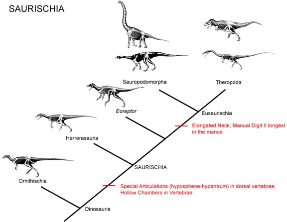 Triassic Era Dinosaurs. Dinosaurs are a group of