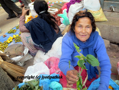 Information about Green Leafy Vegetables Nepal Information about Green Leafy Vegetables Nepal