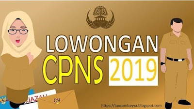 seleksi penerimaan cpns 2019