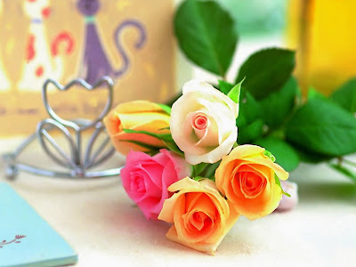 flores wallpapers - rosas hermosas