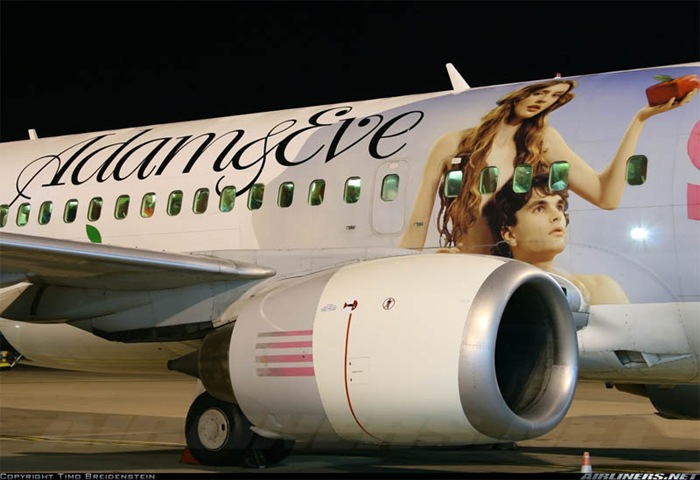 picture_on_plane_31