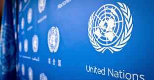 دعوات إلى الأمم المتحدة لتكثيف التعاون مع جبهة البوليساريو من أجل تعزيز حقوق الإنسان. 