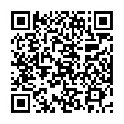 The normal QR code that 'the entire world' know about.right? Peringon