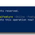 Windows Subsystem for Linux