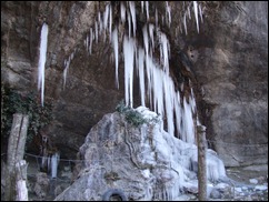 DSCF1946