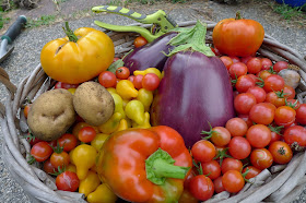 Home grown food, urban farming, gardening