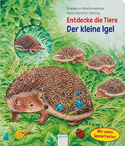 Der kleine Igel: Entdecke die Tiere