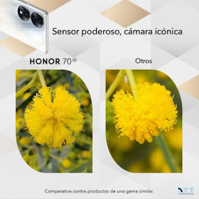 caso del HONOR 70