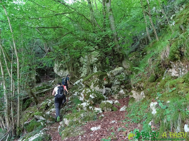 Pasada del Picayo: Saliendo del área recreativa