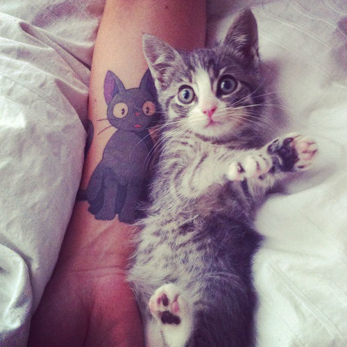 Tatuagens de gatos 