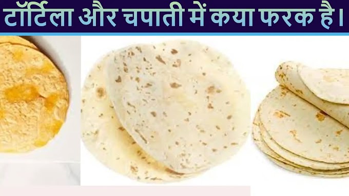 Difference Between Tortilla and Chapati