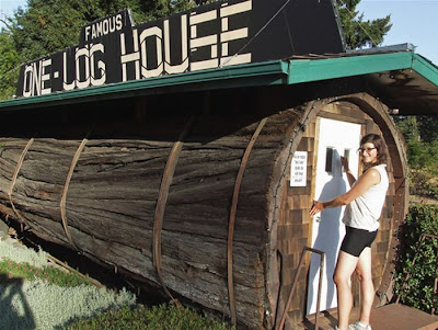 This house was built inside a tree Seen On www.coolpicturegallery.net