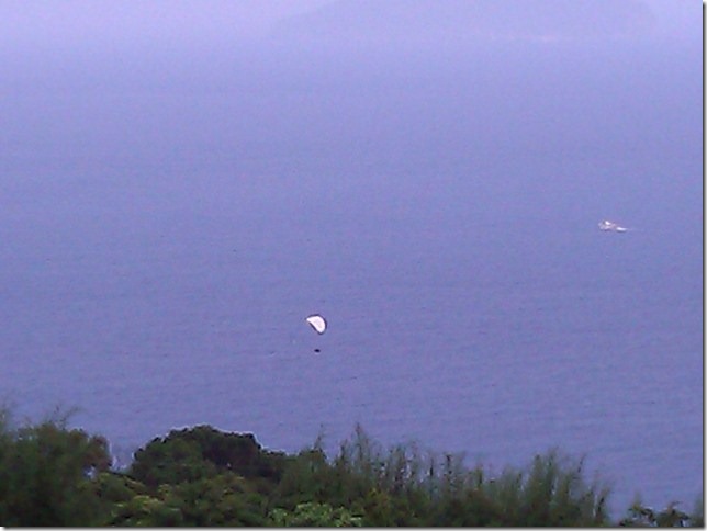 WP_000065