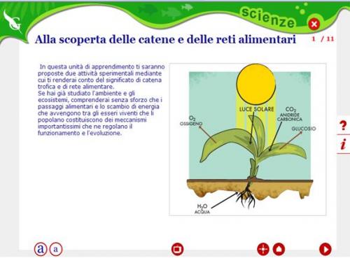 cartene-reti1