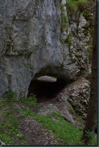 DSC_0422
