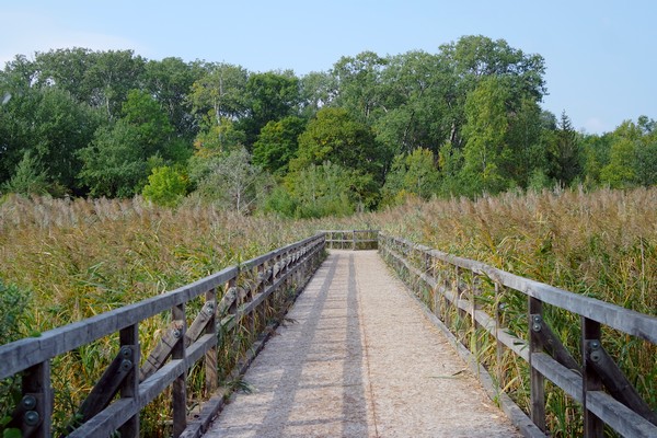 autriche vienne lobau josefsteg