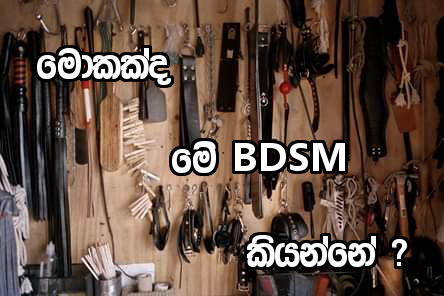 මොකක්ද මේ BDSM කියන්නේ?