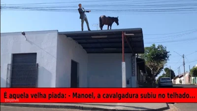 Cavalo no telhado com Bolsonaro. Montagem