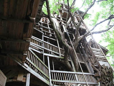 The World's Biggest Treehouse (14) 7