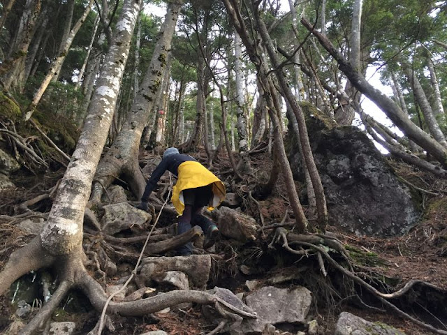 皇海山の急坂