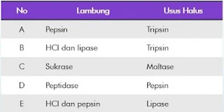 soal un biologi tentang sistem pencernaan