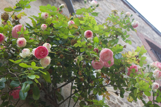 Visiting the Medieval village of Dinan France