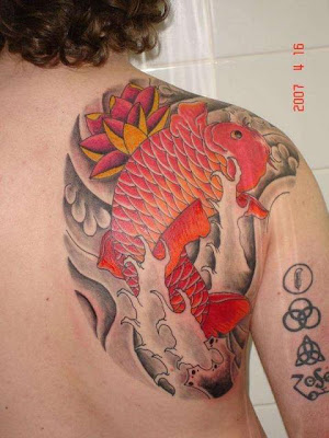 Koi Tattoo Very beautiful red koi tattoo on a man's shoulder. Koi Tattoo Very beautiful red koi tattoo on a man's shoulder.