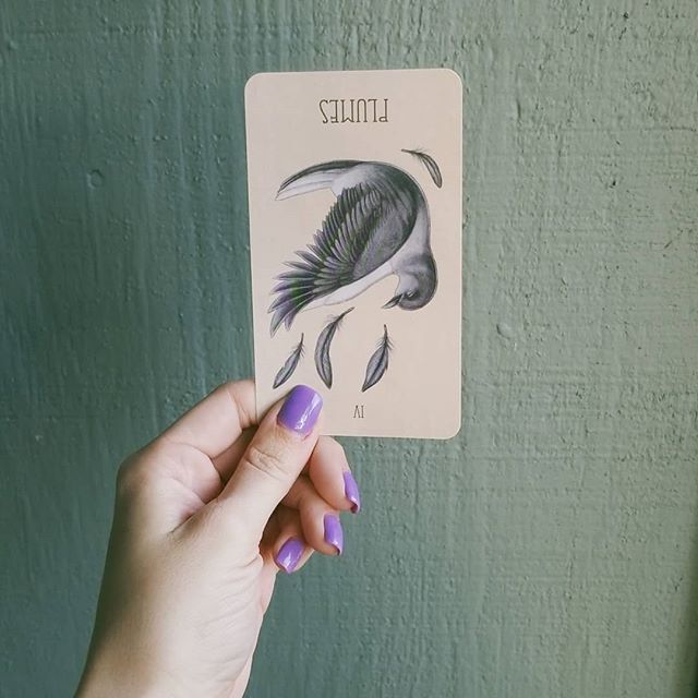 mua bài tarot ở đâu