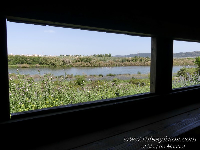 Laguna de Fuente de Piedra y Lagunas de Campillos