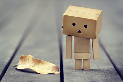 Boneka Danbo Amazing Collection | Aregnoz blog