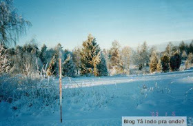 bosques da região de Jönköping