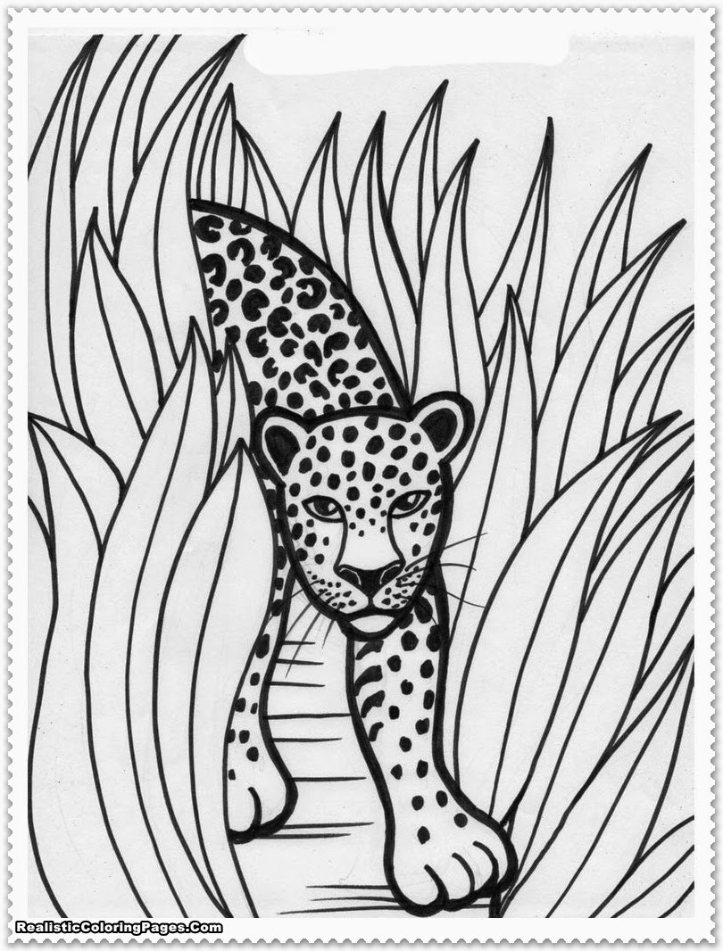 Realistic Jungle Animal Coloring Pages