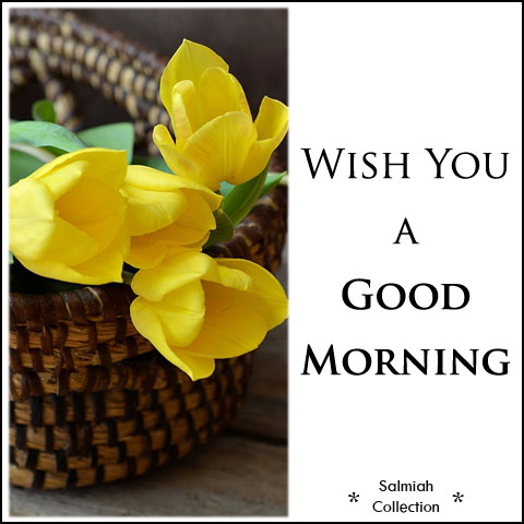 Wish you have a wonderful day!