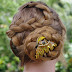 My look for today~ Zig-Zag Lace Braid