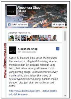 Contoh Tampilan Tombol Like Fanspage Facebook Di Blog