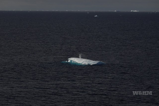 An Incredible and Fun Capture of an Iceberg (Bergy Bit) Sprouting!