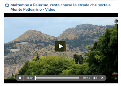 http://palermo.gds.it/2016/06/21/incendi-a-palermo-dopo-le-fiamme-140-alberi-da-abbattere-a-monte-pellegrino_528931/