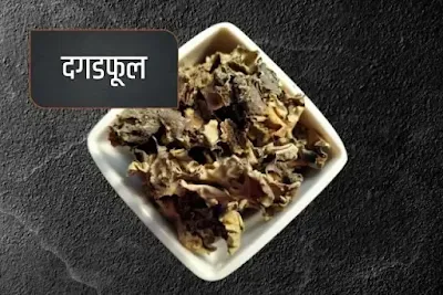 stone flower- one of the spices lists in Hindi