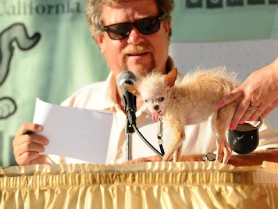 2011 World’s Ugliest Dog Competition pictures