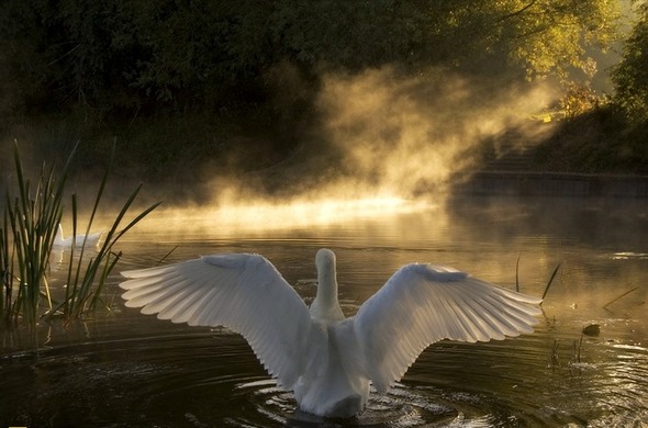 foto terbaik national geographic