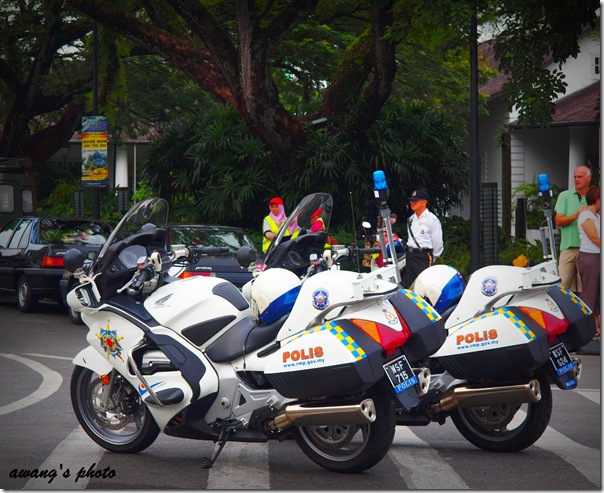 PB052941