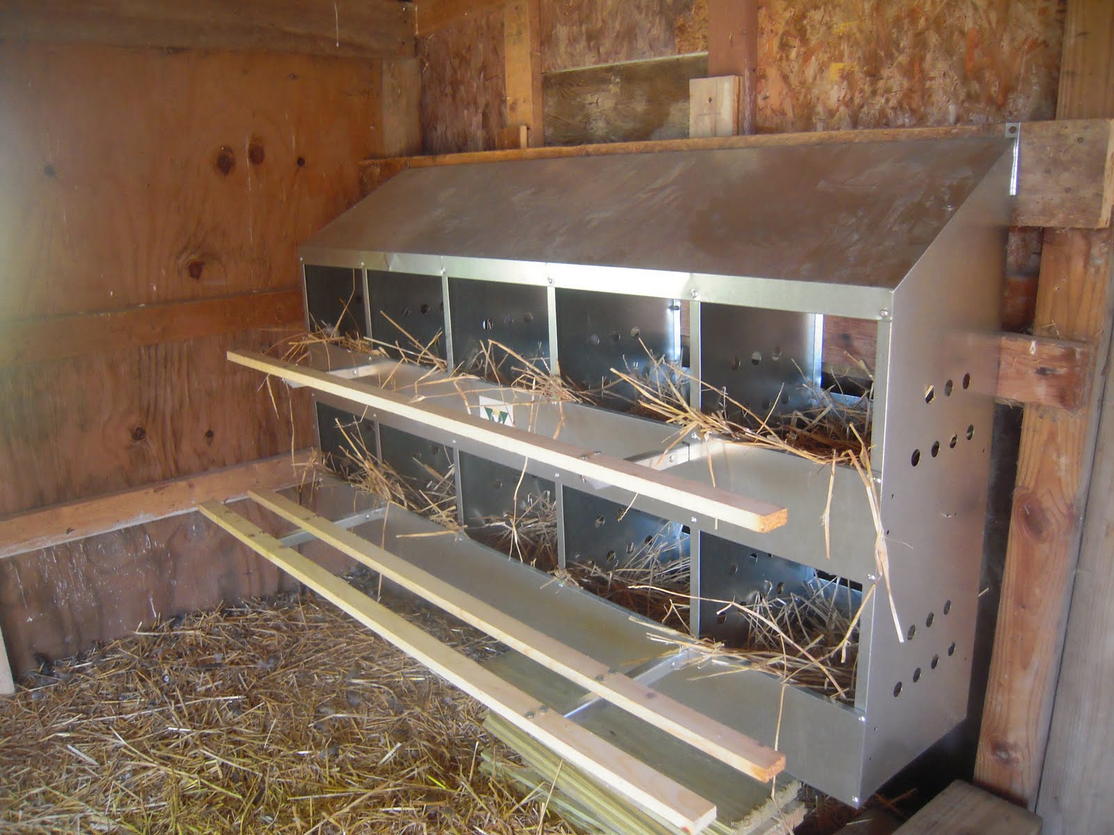 Chickens and nest boxes - Homesteading Today