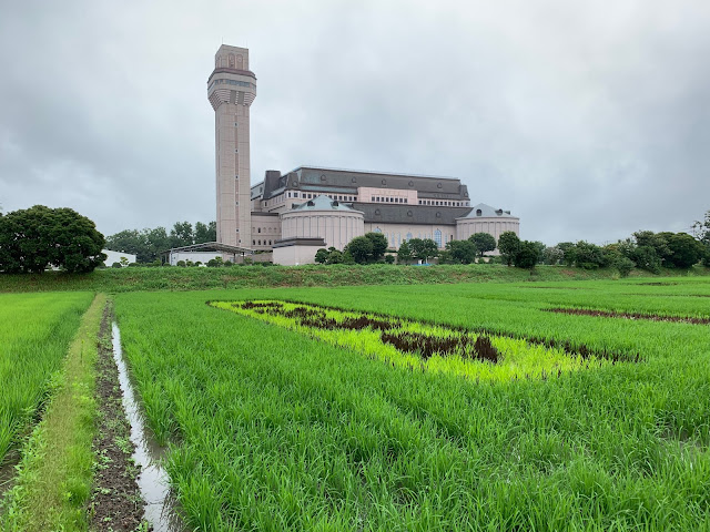 こしがや田んぼアート2019キン肉マンとラグビー日本代表の夢のタッグ（7/14）